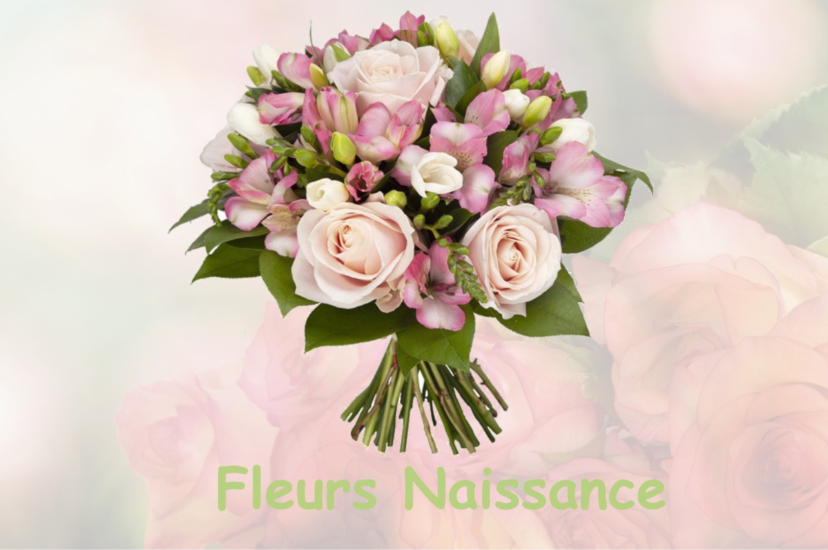 fleurs naissance SAINT-ANDRE-GOULE-D-OIE