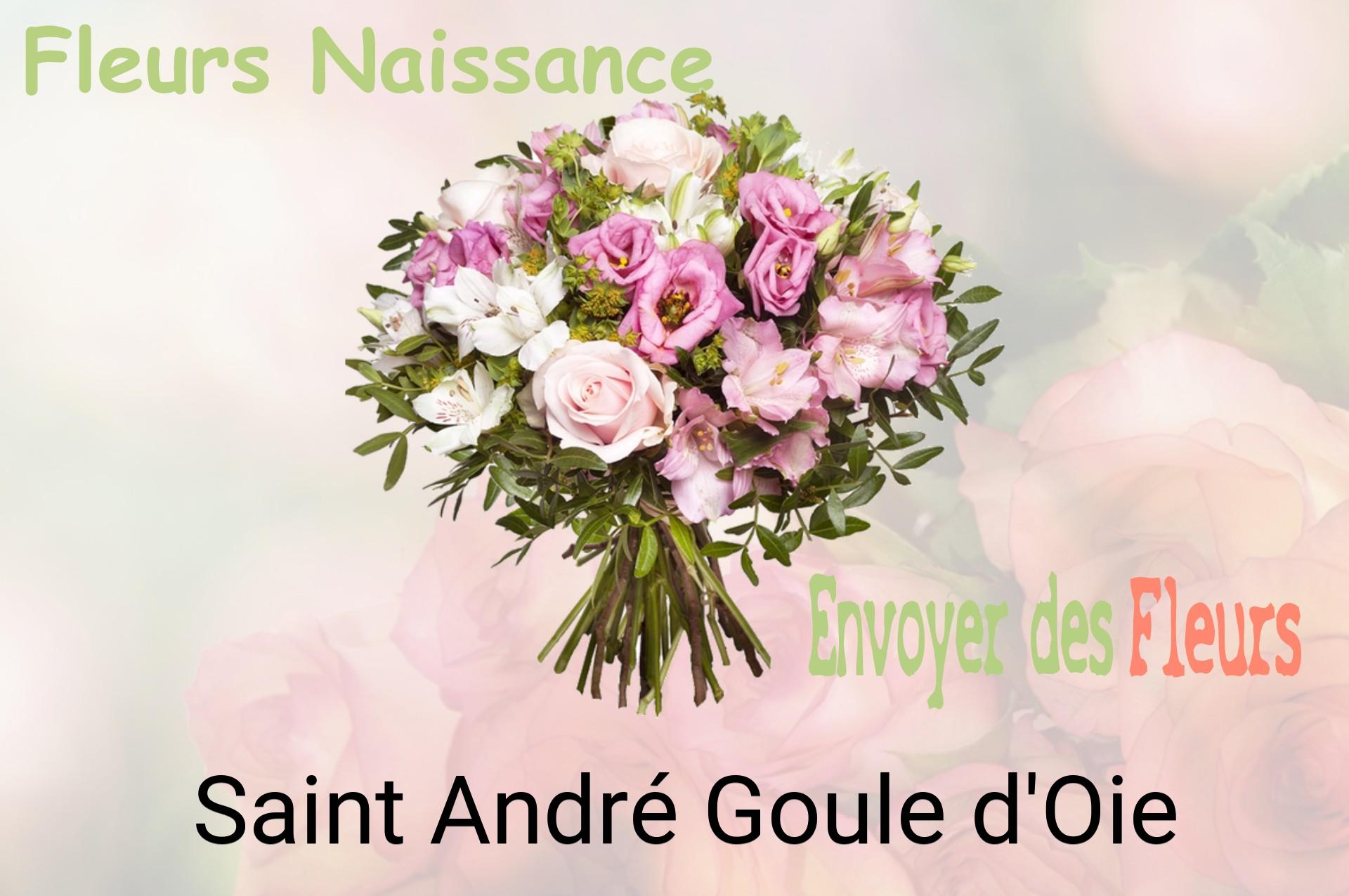 Bouquet de fleurs de naissance livré à Saint-André-Goule-d'Oie