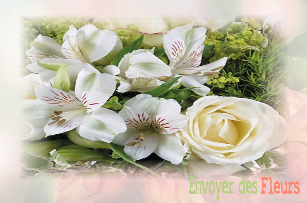 envoyer des fleurs à à SAINT-ANDRE-GOULE-D-OIE
